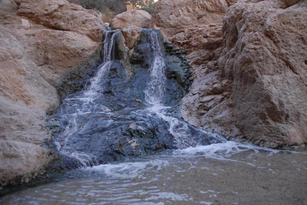 Ein Gedi Rooms Neve Zohar Exterior photo