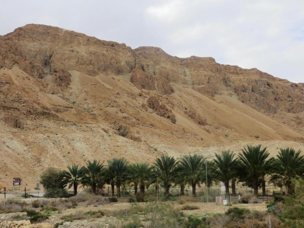 Ein Gedi Rooms Neve Zohar Exterior photo
