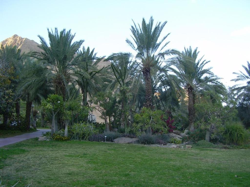 Ein Gedi Rooms Neve Zohar Exterior photo