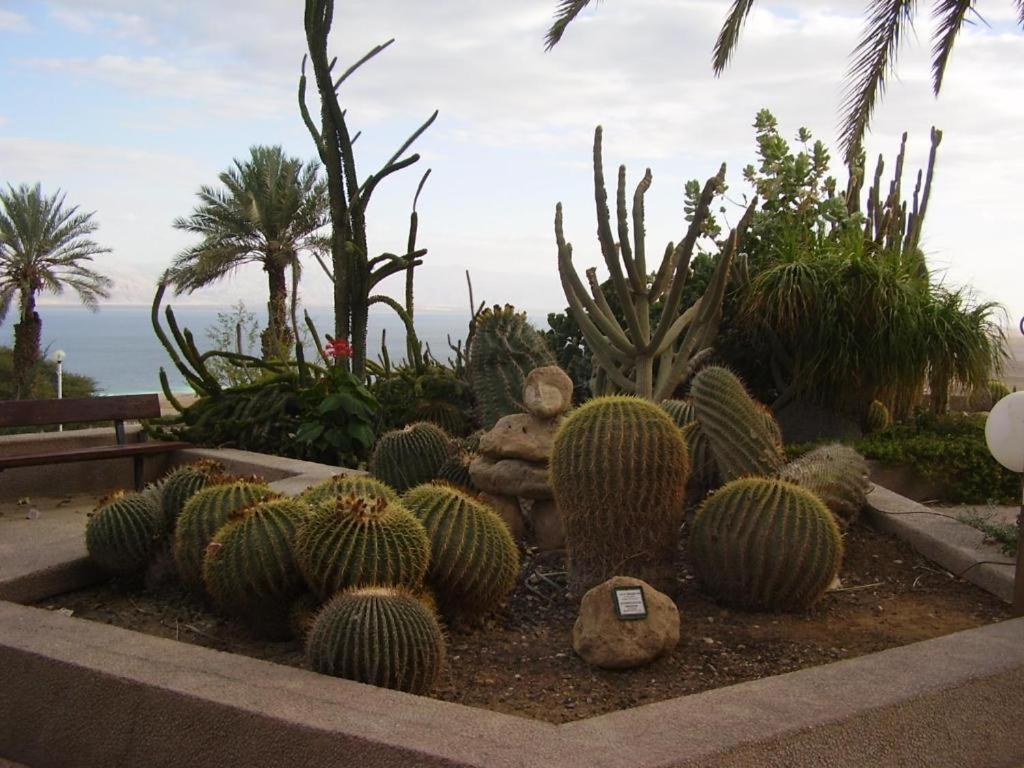 Ein Gedi Rooms Neve Zohar Exterior photo